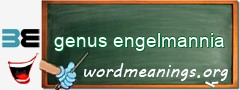 WordMeaning blackboard for genus engelmannia
